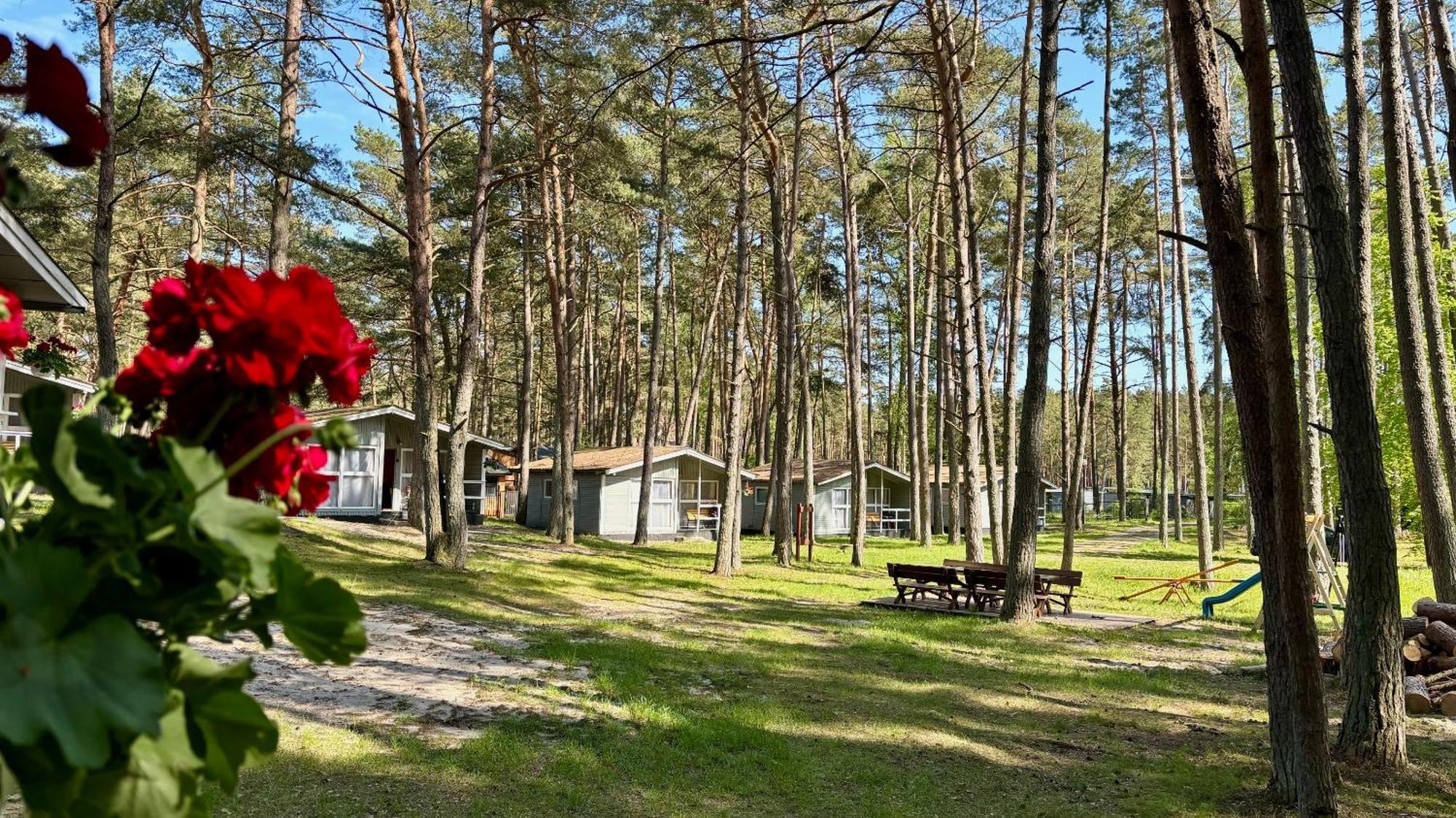 Lesna Przystan Villa โปเบียโรโว ภายนอก รูปภาพ